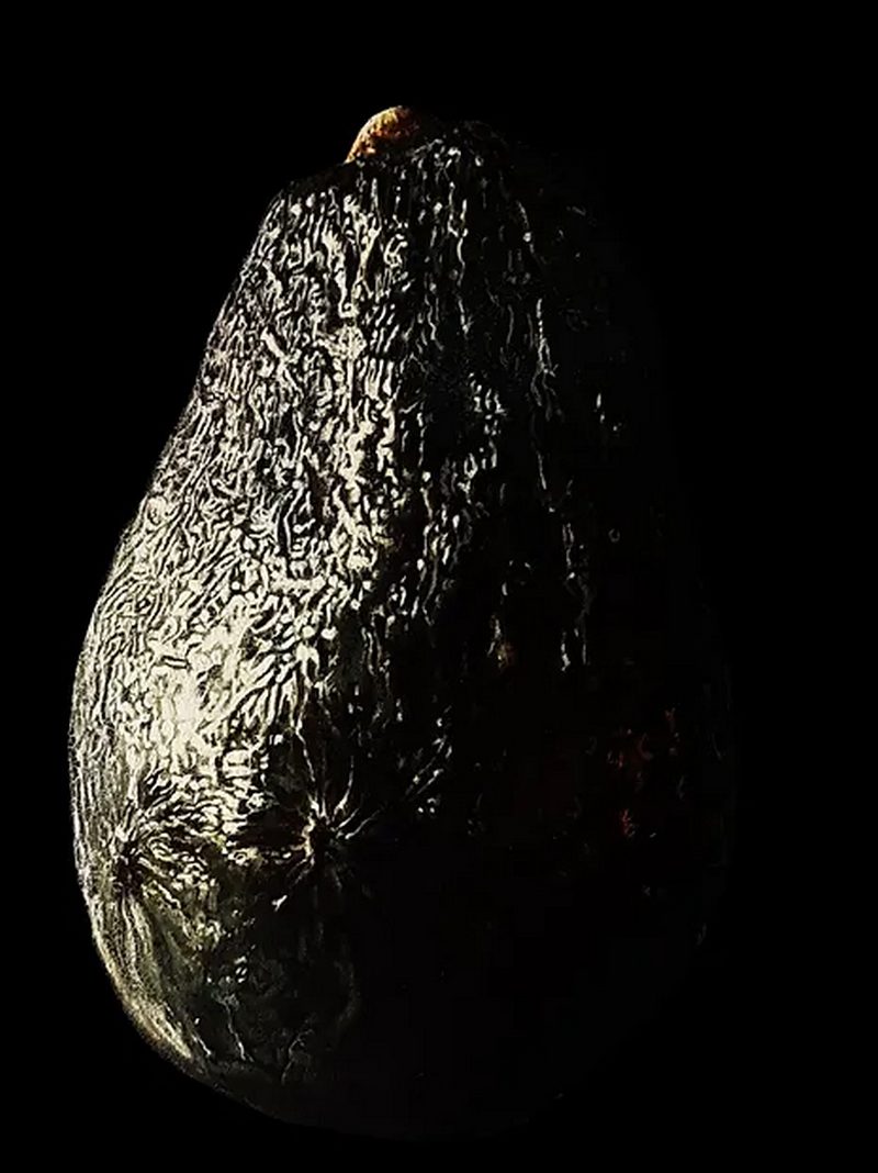 Geza Kokai - Portrait of an Avocado - 12"x9" - GK0008 - oil on panel - $1,200 unframed